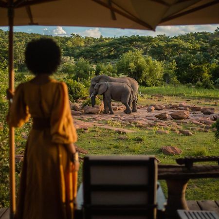 Makweti Safari Lodge Welgevonden Game Reserve Luaran gambar
