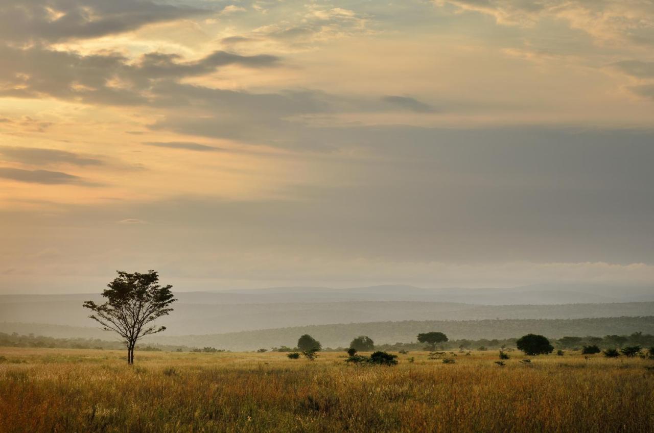 Makweti Safari Lodge Welgevonden Game Reserve Luaran gambar