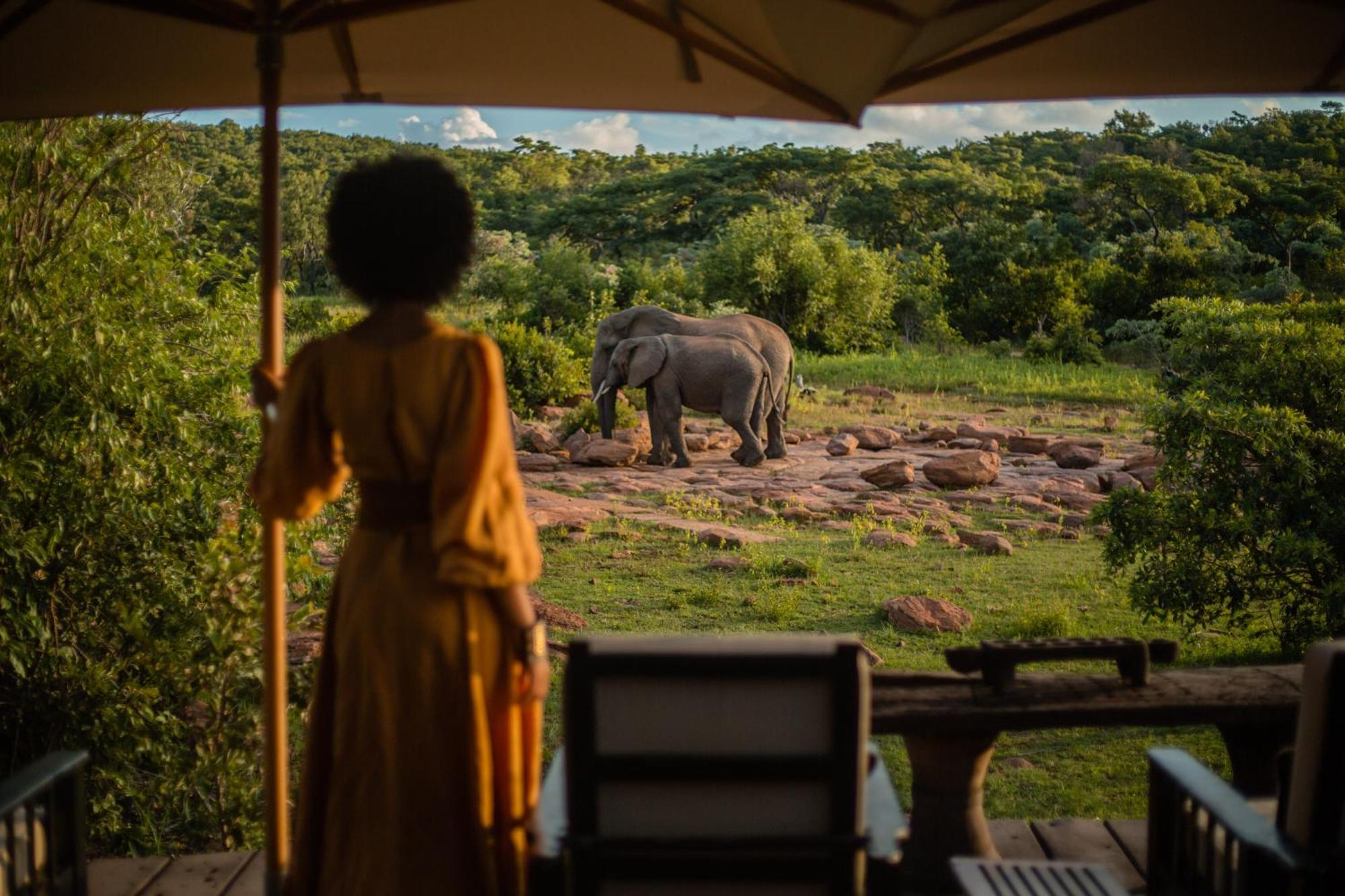 Makweti Safari Lodge Welgevonden Game Reserve Luaran gambar
