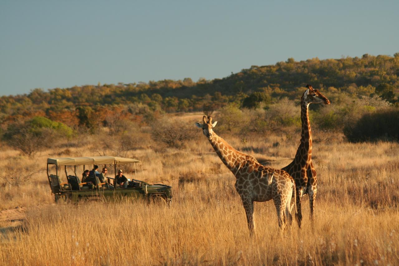 Makweti Safari Lodge Welgevonden Game Reserve Luaran gambar