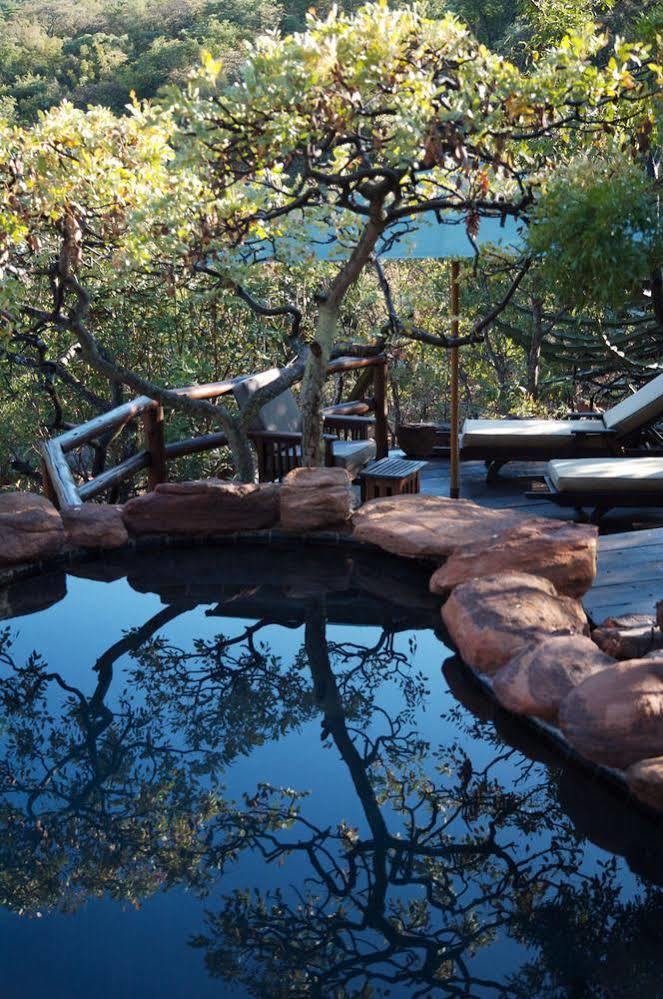 Makweti Safari Lodge Welgevonden Game Reserve Luaran gambar